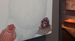 φωτογραφία έκθεσης