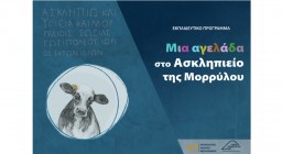 Εκπαιδευτικό πρόγραμμα «Μια αγελάδα στο Ασκληπιείο της Μορρύλου»