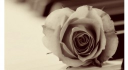 Ρεσιτάλ πιάνου