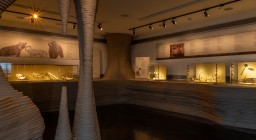 φωτογραφία έκθεσης