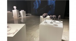 Άποψη έκθεσης [ΚΟΡΠΟΥΣ, ΧΧΙΙΙ] μία έκθεση για τα σώματα του αρχαιολογικού μουσείου Θεσσαλονίκης