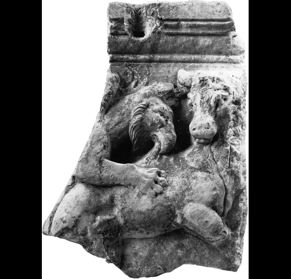 Part of an attic sarcophagus with griffon and bull (ΜΘ 1205) © Ministry of Culture, AMTh