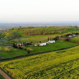Παλαοιοχριστιανικό νεκροταφείο